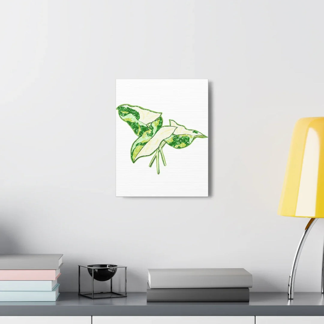 Marble Syngonium Canvas - Botanical Canvas Art Print | Durable Cotton Matte Finish - Laura Christine Photography & Design