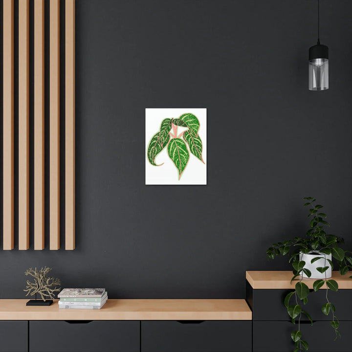 Aglaonema Plant Canvas | Sparkling Plant Artwork - Colorfast Canvas Art Print Decor