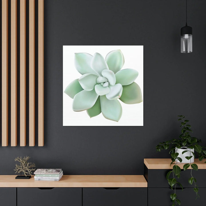 Pachyveria Haagei Succulent Canvas, Canvas, Printify, Art & Wall Decor, Canvas, Hanging Hardware, Home & Living, Indoor, Laura Christine Photography & Design, laurachristinedesign.com