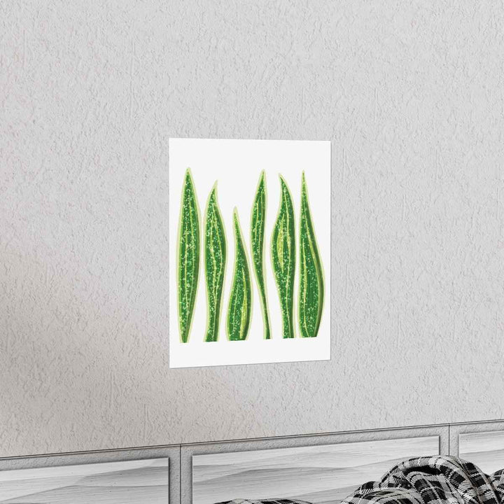 Snake Plant Print – Large Botanical Wall Art Poster | Matte Finish | Unframed