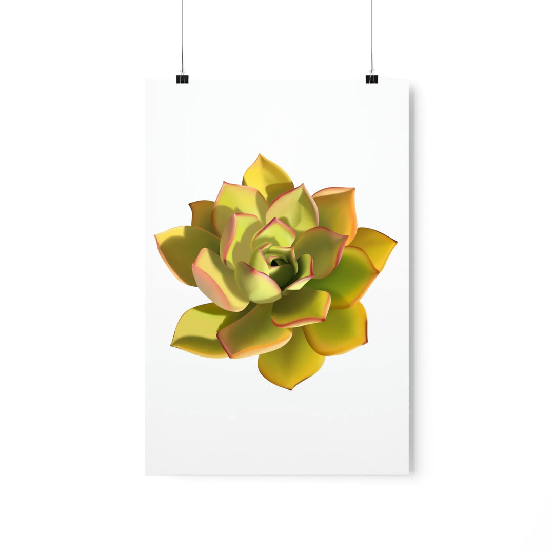 Noble Aeonium Print – Vibrant Succulent Wall Art on Museum-Grade Paper Poster Unframed