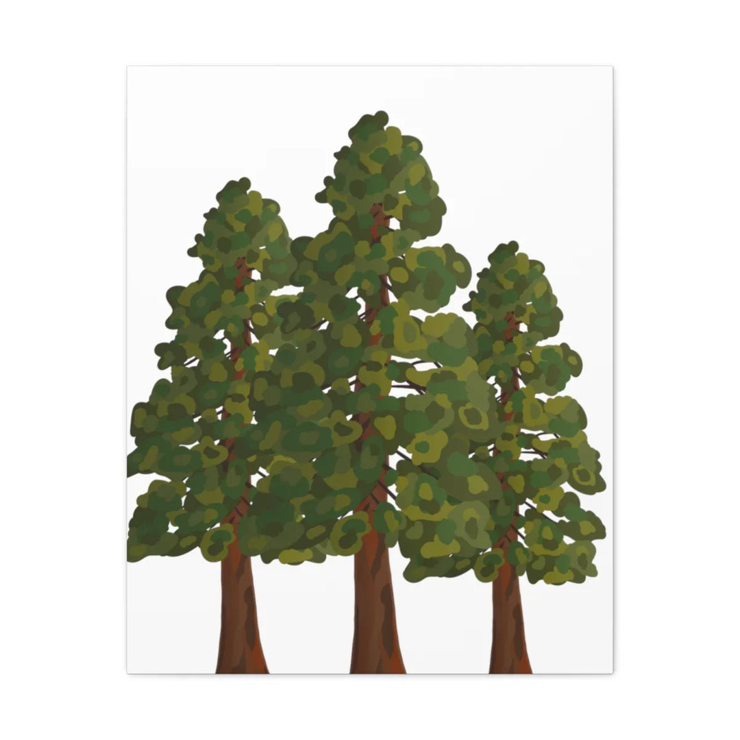 Coastal Redwoods Canvas - Stretched Cotton Canvas Art Print | Matte Finish Wall Hanging Artwork