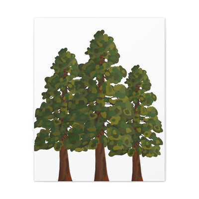 Coastal Redwoods Canvas