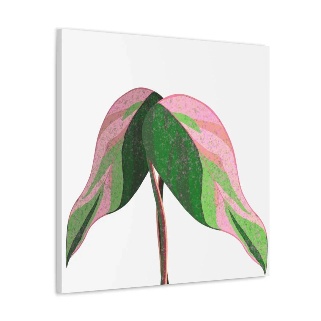 Pink Princess Philodendron Canvas, Canvas, Laura Christine Photography & Design, Art & Wall Decor, Canvas, Hanging Hardware, Home & Living, Indoor, Laura Christine Photography & Design, laurachristinedesign.com