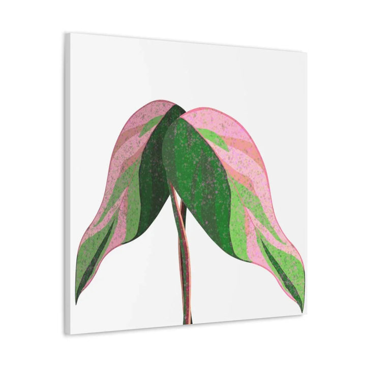 Pink Princess Philodendron Canvas, Canvas, Laura Christine Photography & Design, Art & Wall Decor, Canvas, Hanging Hardware, Home & Living, Indoor, Laura Christine Photography & Design, laurachristinedesign.com