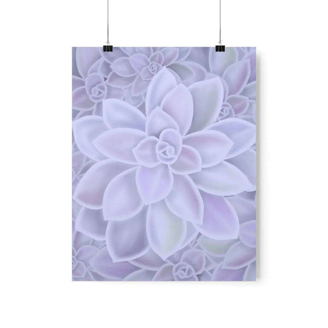 Graptopetalum 'Murasaki' Succulent Print, Poster, Laura Christine Photography & Design, Back to School, Home & Living, Indoor, Matte, Paper, Posters, Valentine's Day promotion, Laura Christine Photography & Design, laurachristinedesign.com