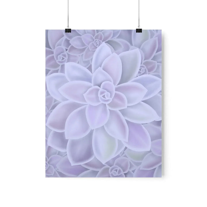 Graptopetalum 'Murasaki' Succulent Print, Poster, Laura Christine Photography & Design, Back to School, Home & Living, Indoor, Matte, Paper, Posters, Valentine's Day promotion, Laura Christine Photography & Design, laurachristinedesign.com