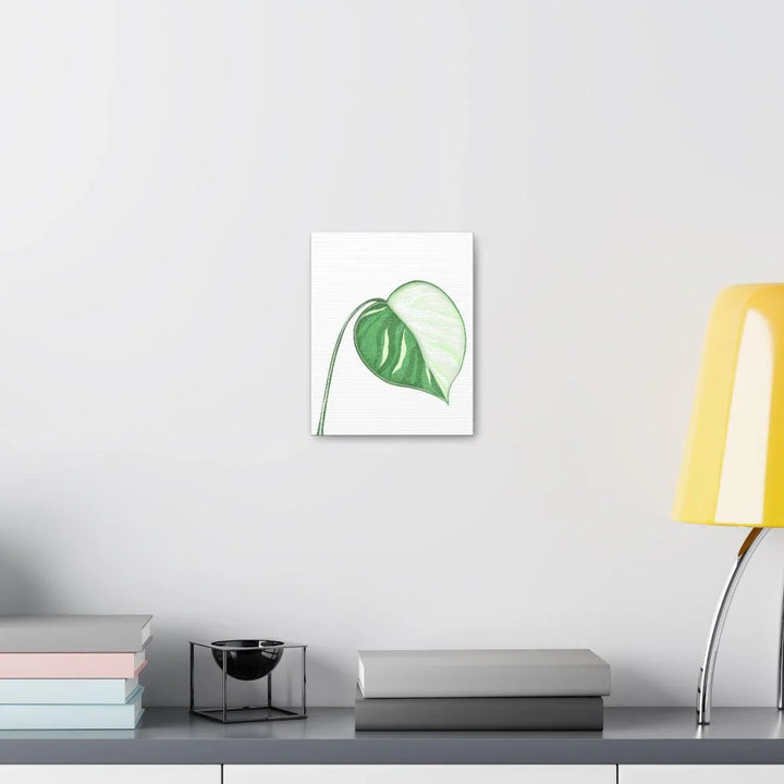 Monstera Albo Canvas | Large Tropical Leaf Artwork - Matte Finish Canvas Art Print - Laura Christine Photography & Design