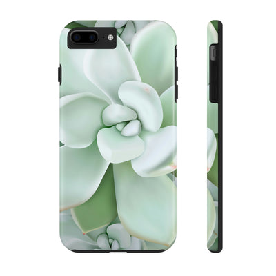 Pachyveria Haagei Succulent Phone Case, Phone Case, Printify, Accessories, Glossy, iPhone Cases, Matte, Phone accessory, Phone Cases, Samsung Cases, Laura Christine Photography & Design, laurachristinedesign.com