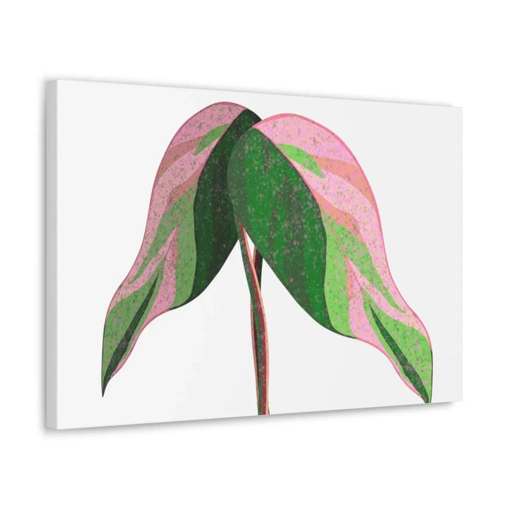 Pink Princess Philodendron Canvas, Canvas, Laura Christine Photography & Design, Art & Wall Decor, Canvas, Hanging Hardware, Home & Living, Indoor, Laura Christine Photography & Design, laurachristinedesign.com
