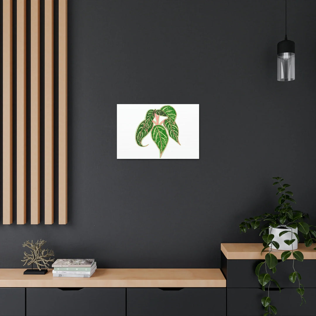 Aglaonema Plant Canvas | Sparkling Plant Artwork - Colorfast Canvas Art Print Decor