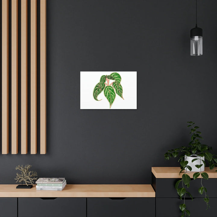 Aglaonema Plant Canvas | Sparkling Plant Artwork - Colorfast Canvas Art Print Decor