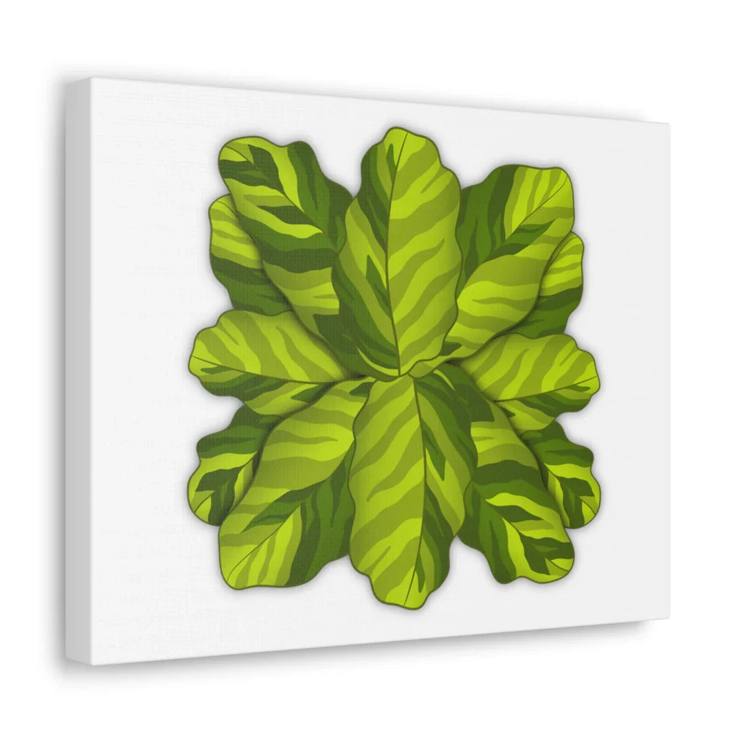 Calathea Yellow Fusion Canvas – Botanical Canvas Print With Unique Leaf Pattern Art - Laura Christine Photography & Design