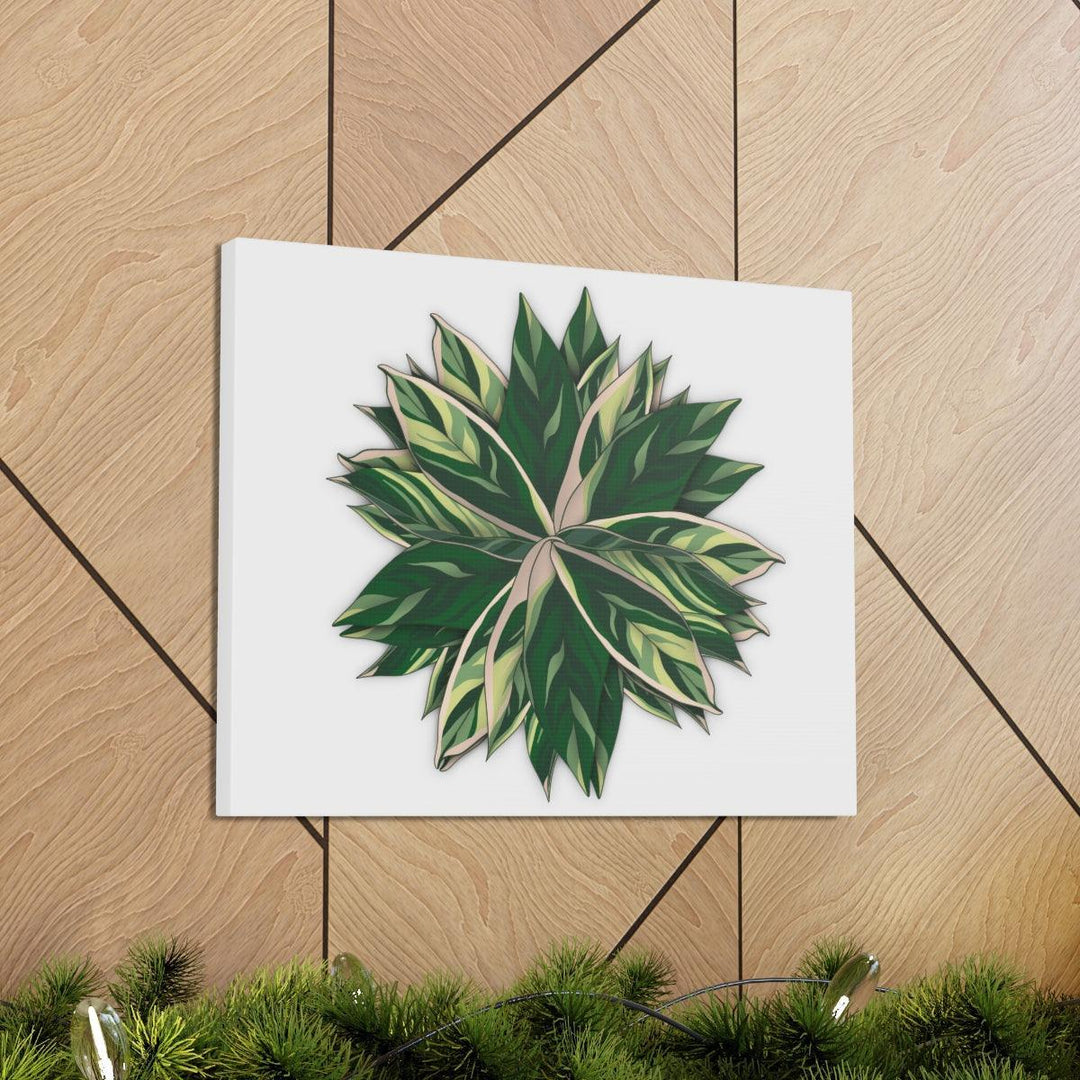 Stromanthe Triostar Canvas - Pastel Stripe Canvas Art Print With Vivid Color Artwork - Laura Christine Photography & Design