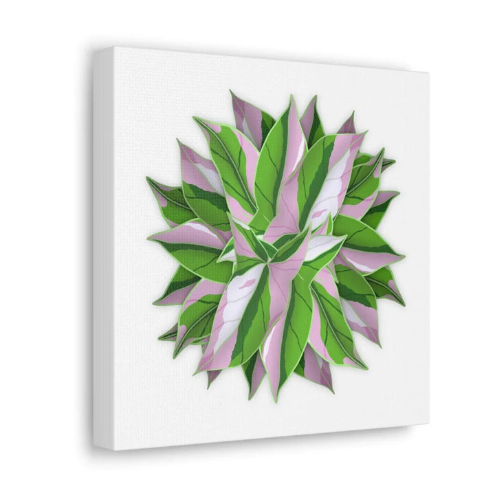Tricolor Syngonium Canvas - Durable Canvas Art Print With Matte Finish & Botanical Design - Laura Christine Photography & Design