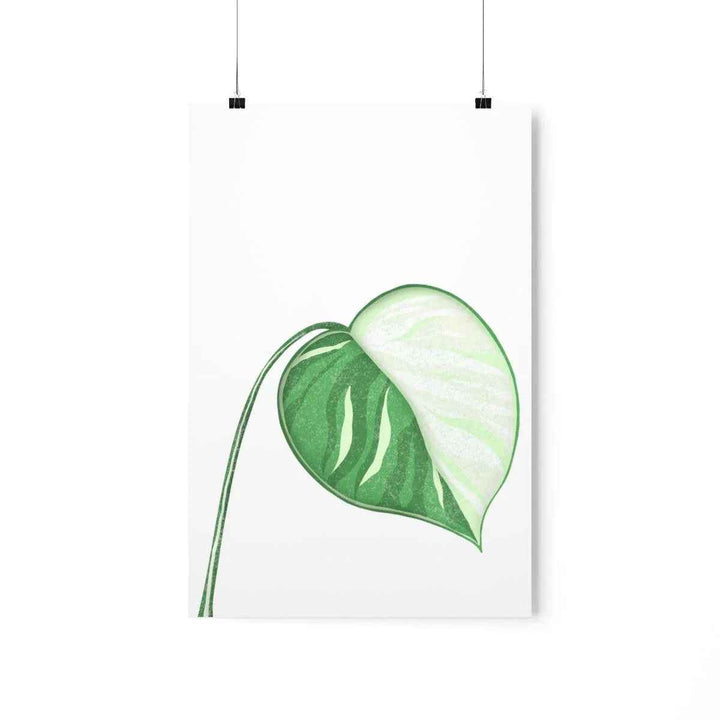 Monstera Albo Print – Large Tropical Leaf Poster | Museum Grade Paper Artwork Unframed