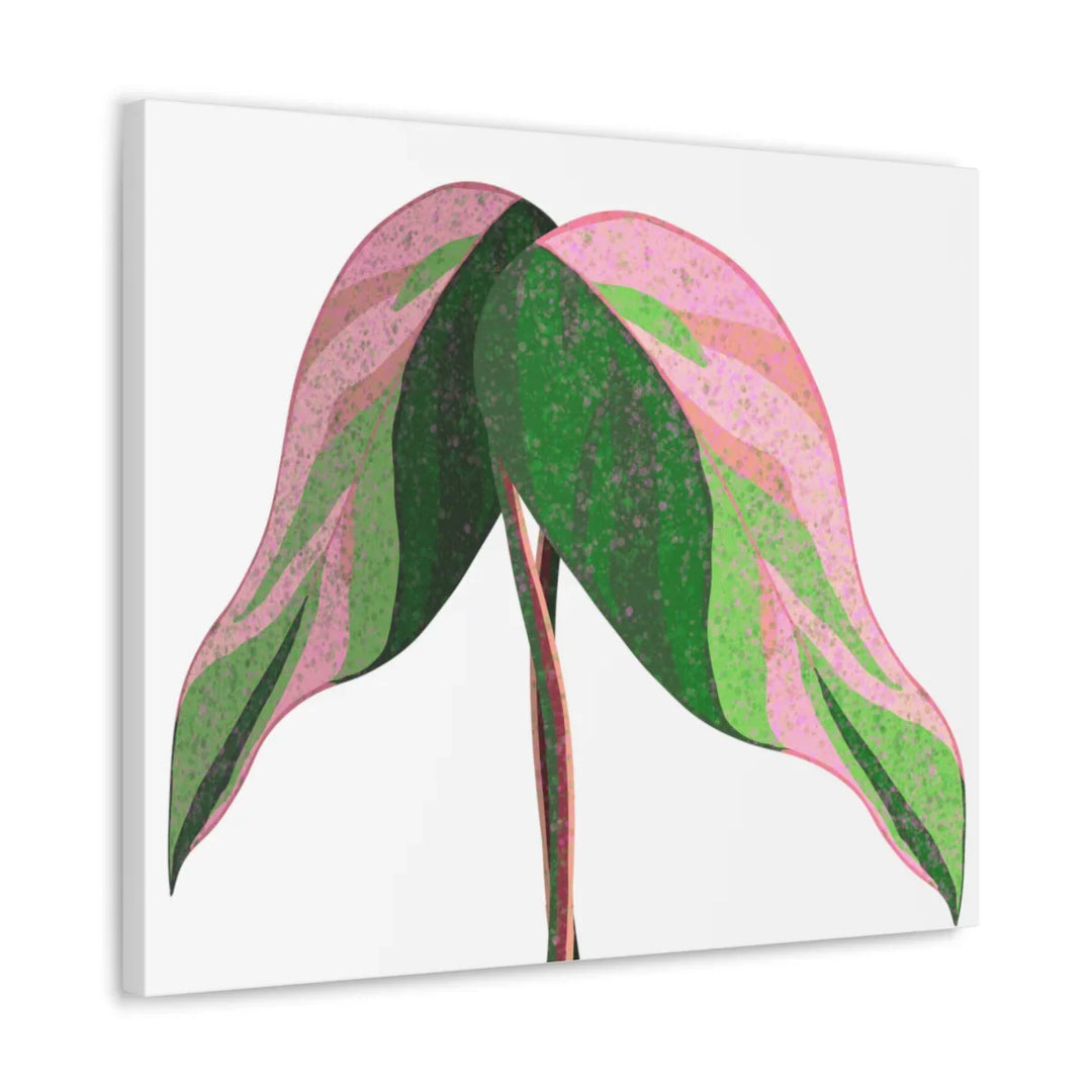 Pink Princess Philodendron Canvas Art Print – Botanical Wall Decor | Matte Finish