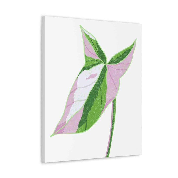 Syngonium Tricolor Canvas | Botanical Canvas Art Print With Matte Finish