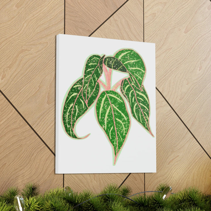 Aglaonema Plant Canvas | Sparkling Plant Artwork - Colorfast Canvas Art Print Decor
