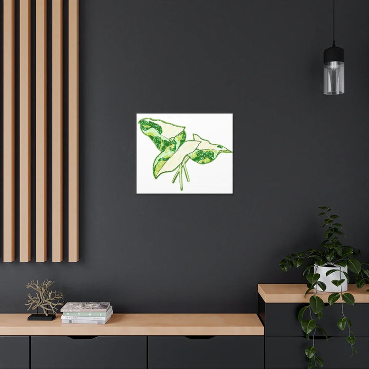 Marble Syngonium Canvas - Botanical Canvas Art Print | Durable Cotton Matte Finish - Laura Christine Photography & Design