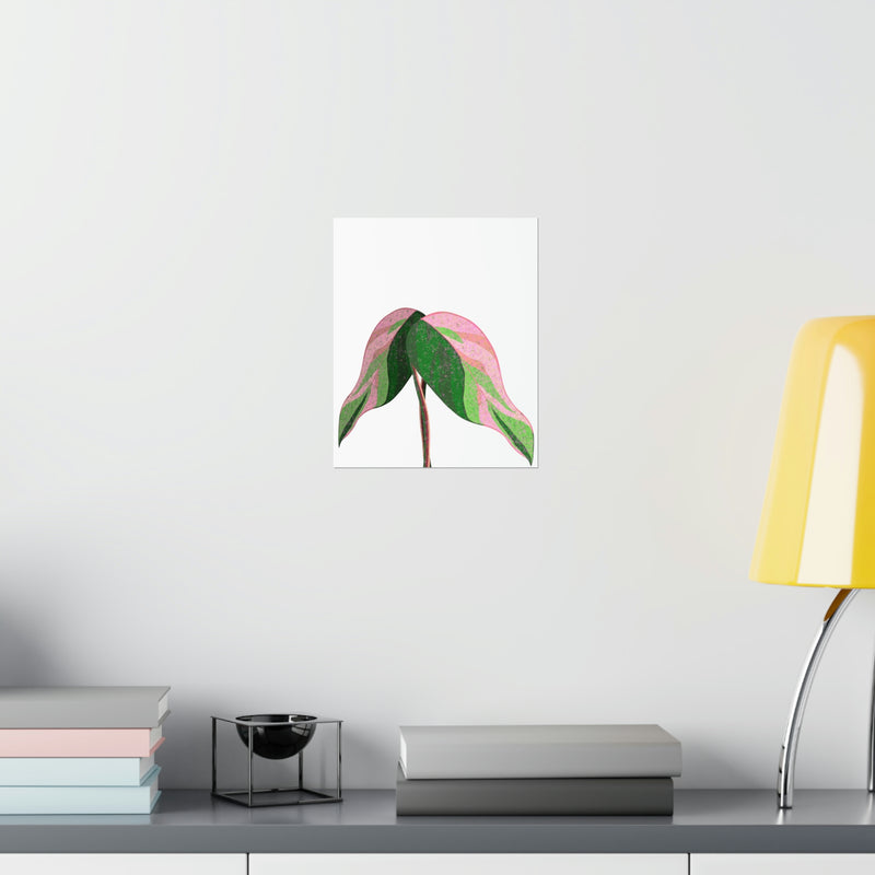 Pink Princess Philodendron Print