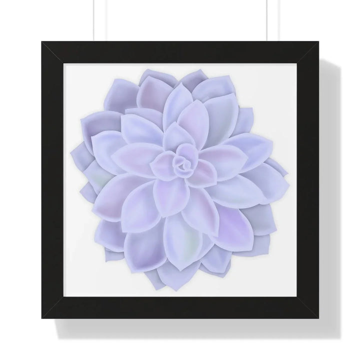 Graptopetalum 'Murasaki' Succulent Framed Print, Poster, Laura Christine Photography & Design, Framed, Home & Living, Indoor, Paper, Posters, Laura Christine Photography & Design, laurachristinedesign.com