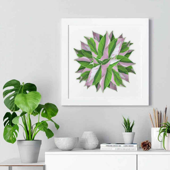 Syngonium Tricolor Print - Framed Botanical Art With Matte Finish & Acrylic Cover