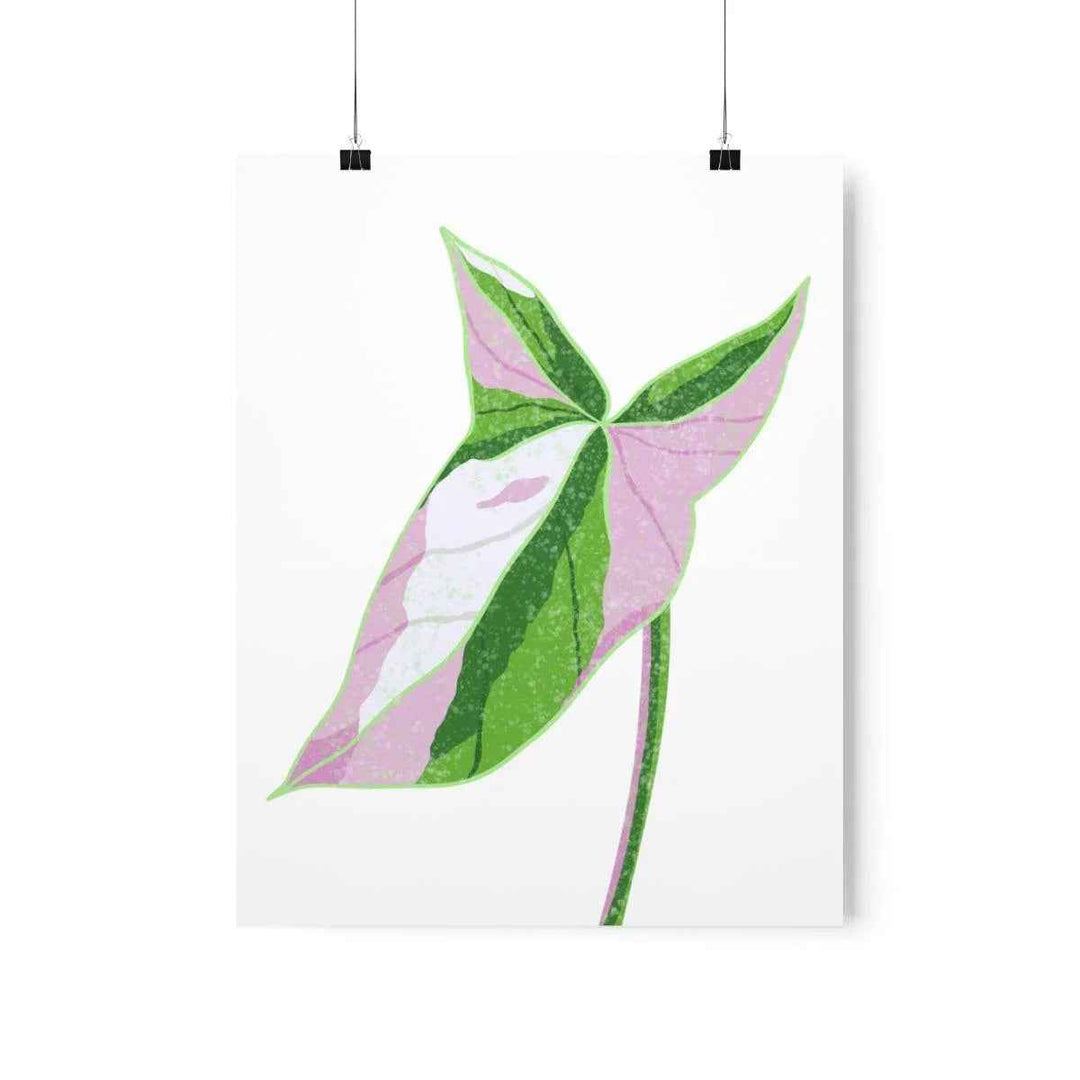 Syngonium Tricolor Print – Botanical Wall Art | Variegated Leaf Poster Unframed