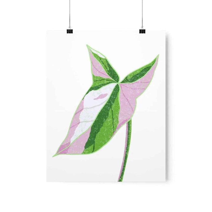 Syngonium Tricolor Print – Botanical Wall Art | Variegated Leaf Poster Unframed