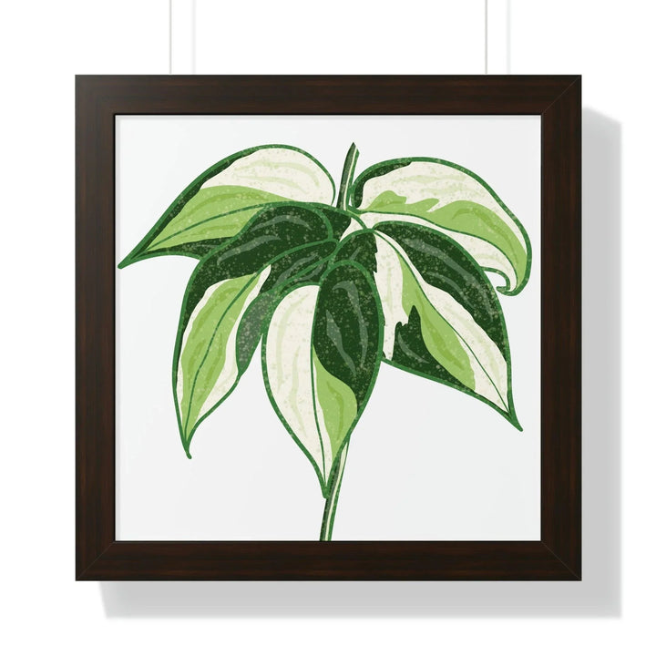 Philodendron 'Cream Splash' Framed Print, Poster, Printify, Framed, Home & Living, Indoor, Paper, Posters, Laura Christine Photography & Design, laurachristinedesign.com