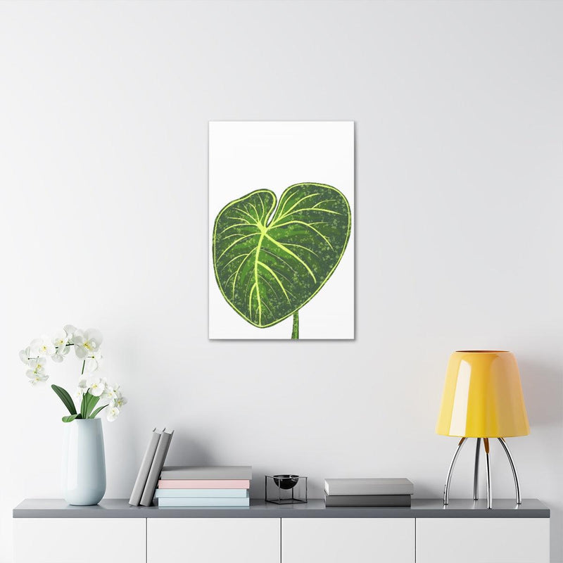 Philodendron Gloriosum Canvas, Canvas, Laura Christine Photography & Design, Art & Wall Decor, Canvas, Hanging Hardware, Home & Living, Indoor, Laura Christine Photography & Design, 