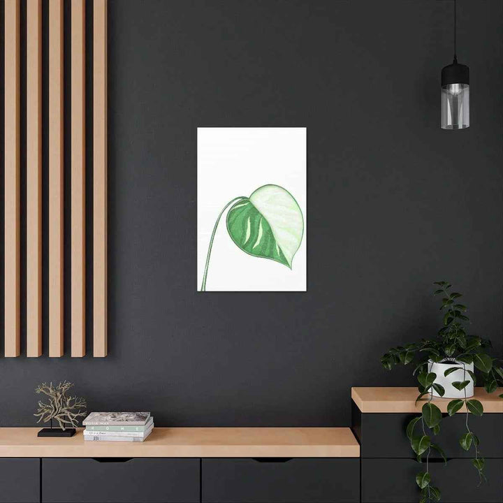 Monstera Albo Canvas | Large Tropical Leaf Artwork - Matte Finish Canvas Art Print