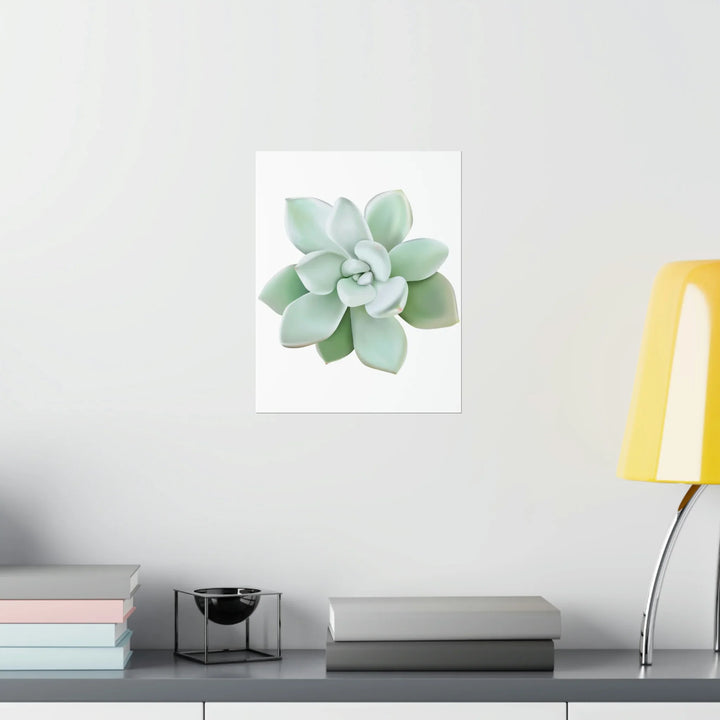Succulent Wall Art - Pachyveria Haagei Botanical Poster on Museum Grade Paper