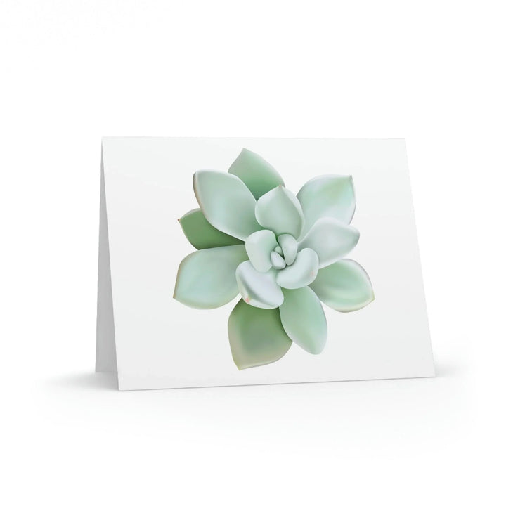 Pachyveria Haagei Succulent Greeting Card, Paper products, Printify, Greeting Card, Holiday Picks, Home & Living, Paper, Postcard, Postcards, Laura Christine Photography & Design, laurachristinedesign.com
