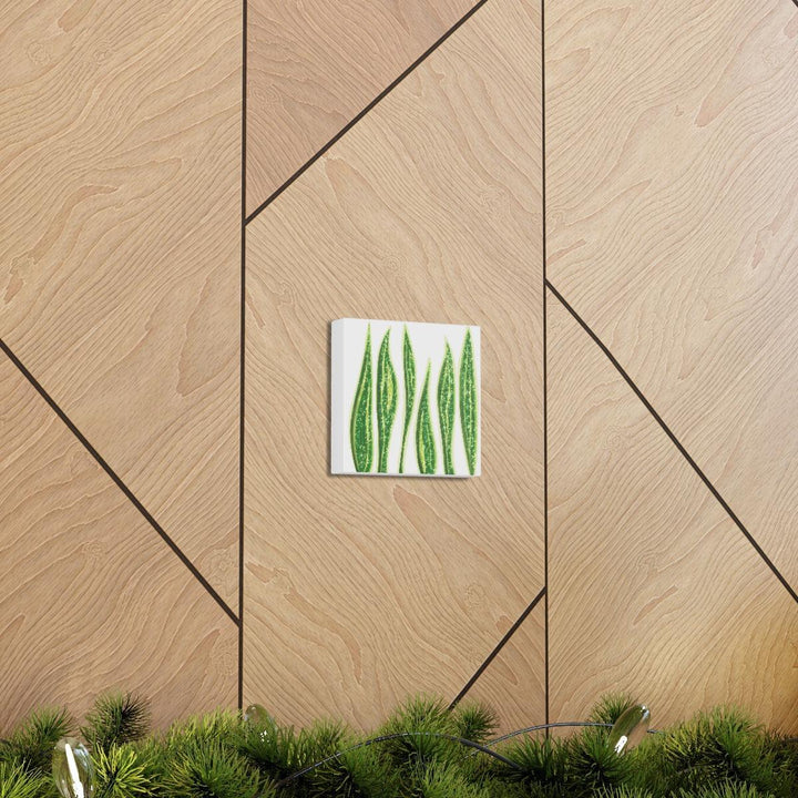 Snake Plant Canvas | Botanical Canvas Decor - Matte Finish Artwork for Living Room - Laura Christine Photography & Design