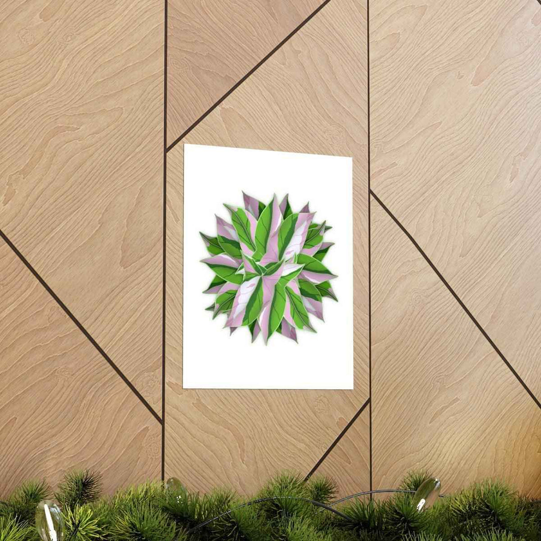 Tricolor Syngonium Print - Botanical Poster on Museum Grade Paper | Archival Ink Unframed