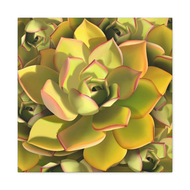 Noble Aeonium Succulent Pattern Canvas, Canvas, Printify, Art & Wall Decor, Canvas, Hanging Hardware, Home & Living, Indoor, Laura Christine Photography & Design, laurachristinedesign.com