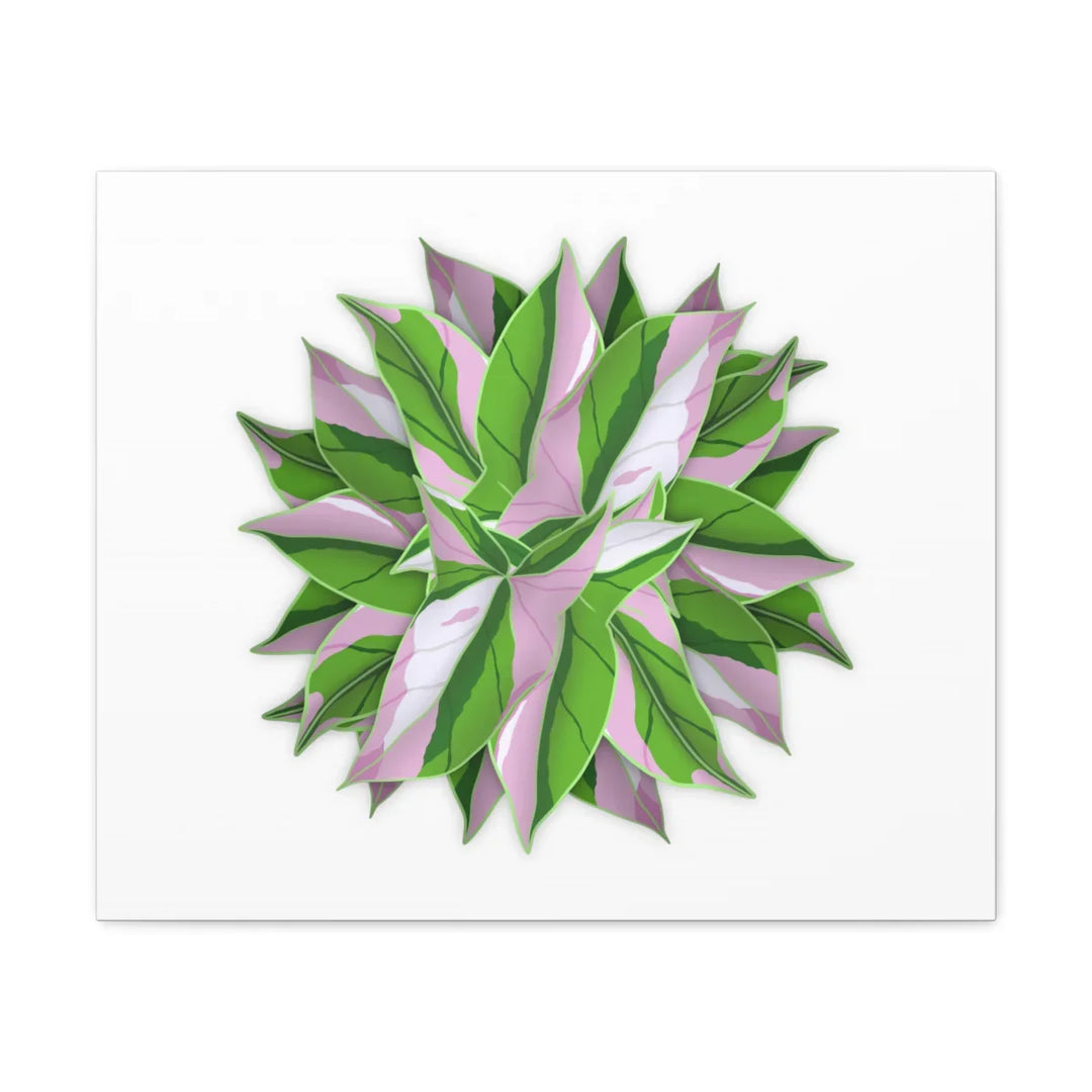 Tricolor Syngonium Canvas - Durable Canvas Art Print With Matte Finish & Botanical Design - Laura Christine Photography & Design