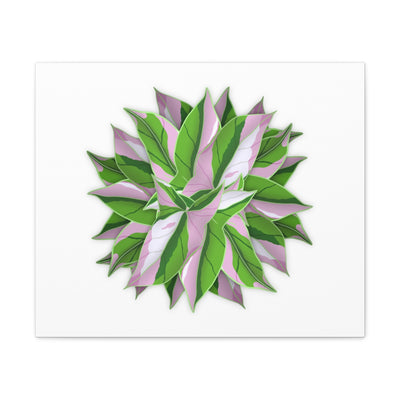 Tricolor Syngonium Canvas