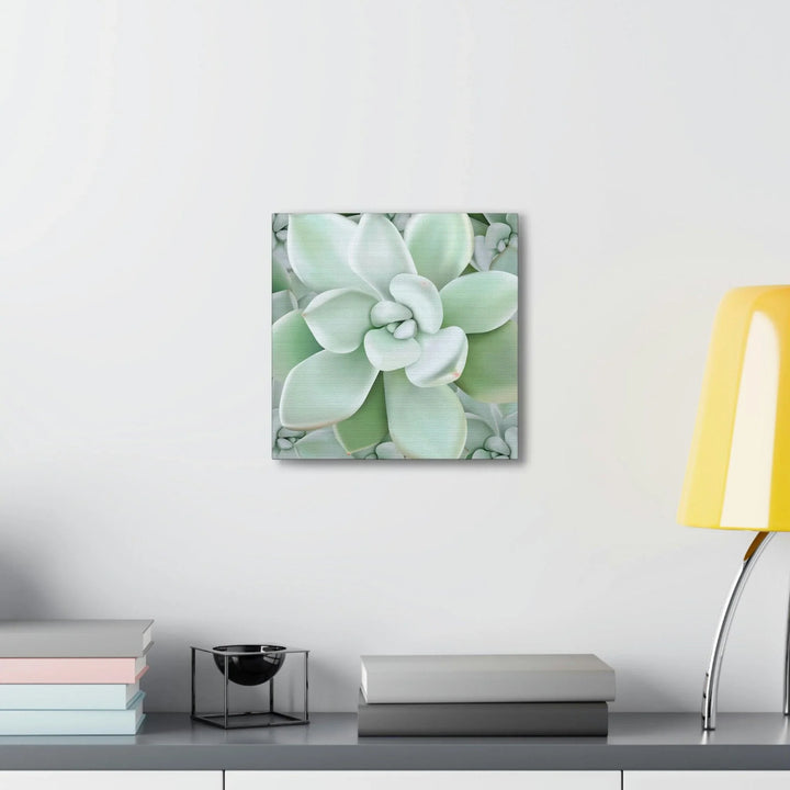 Pachyveria Haagei Succulent Pattern Canvas, Canvas, Printify, Art & Wall Decor, Canvas, Hanging Hardware, Home & Living, Indoor, Laura Christine Photography & Design, laurachristinedesign.com