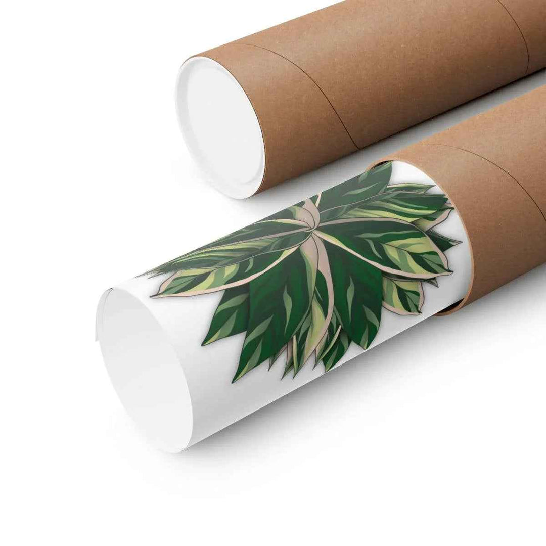 Stromanthe Triostar Print – Tropical Wall Art | Botanical Poster on Museum Grade Paper Unframed