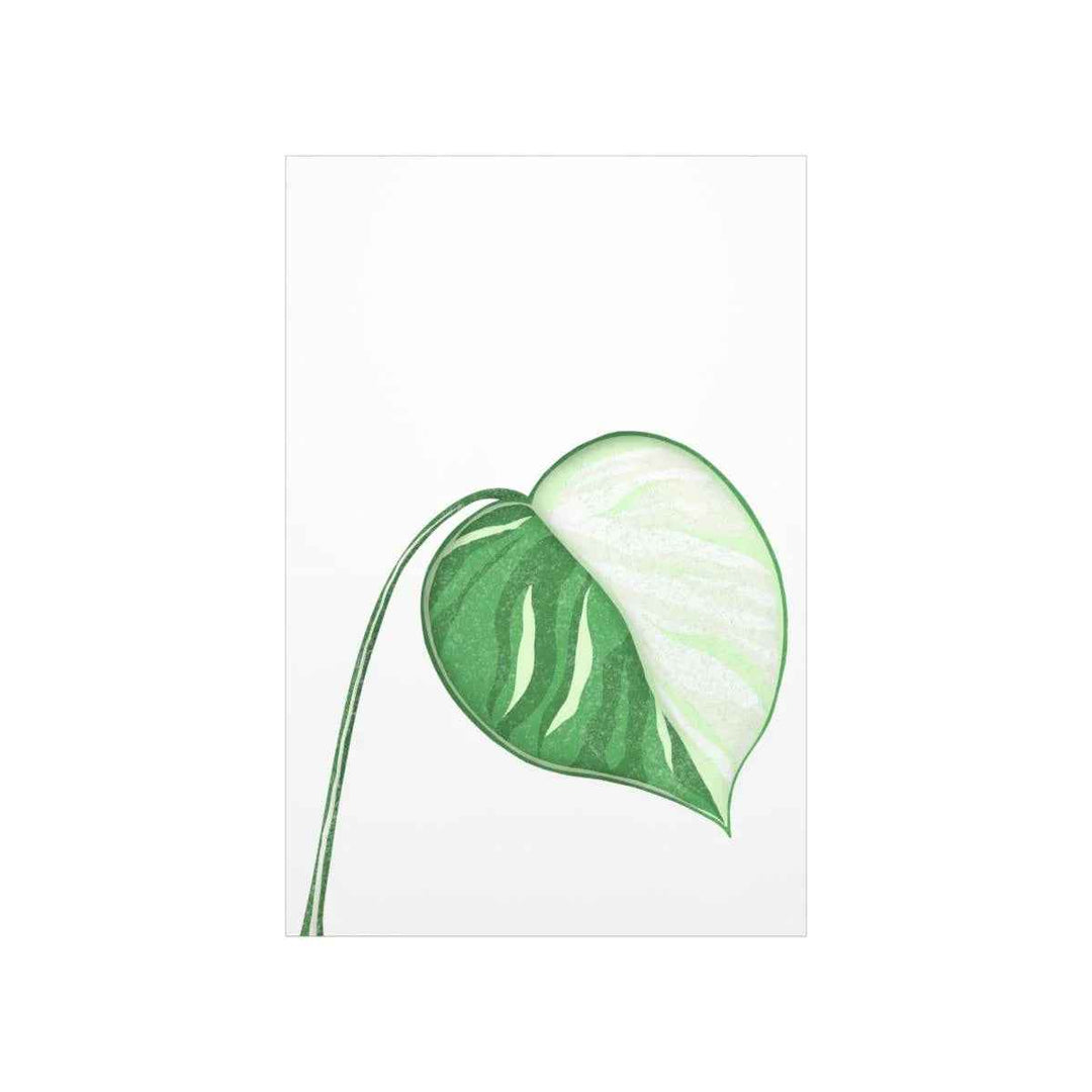 Monstera Albo Print – Large Tropical Leaf Poster | Museum Grade Paper Artwork Unframed
