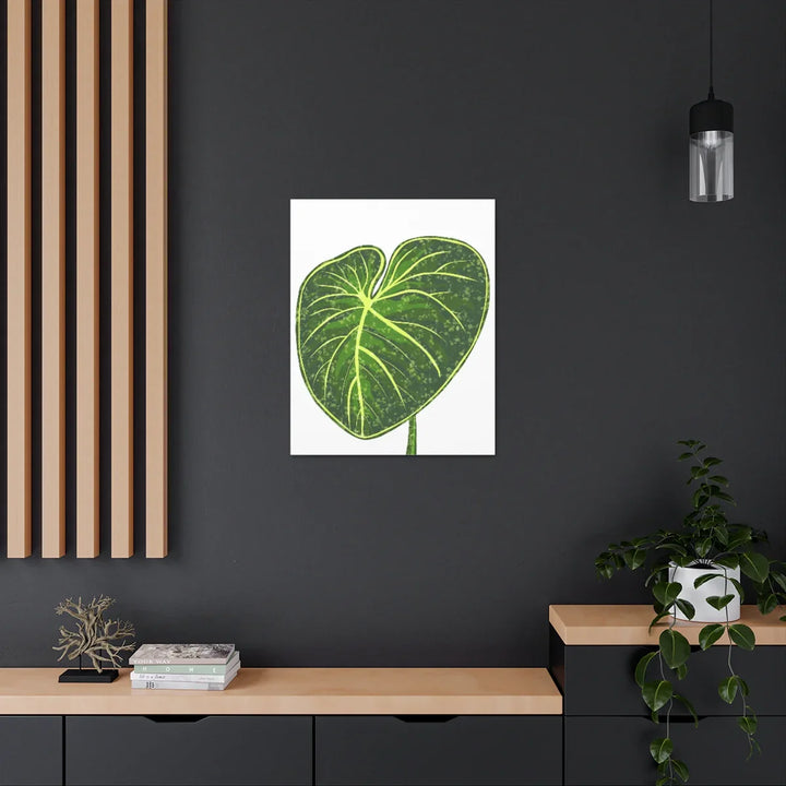 Philodendron Gloriosum Canvas - Stretched Canvas Art Print | Matte Indoor Wall Art - Laura Christine Photography & Design
