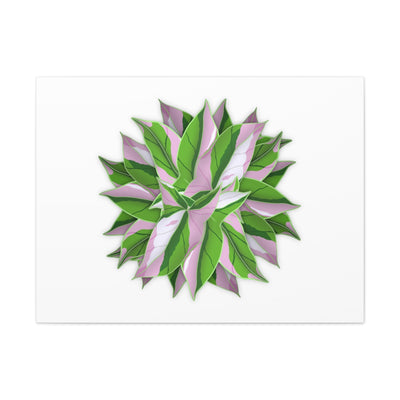 Tricolor Syngonium Canvas