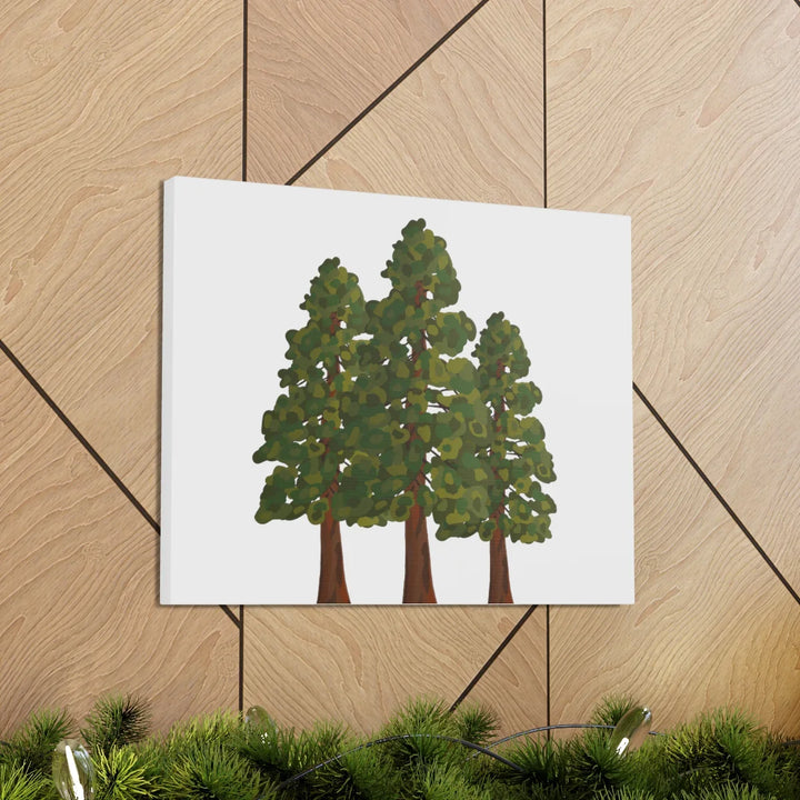 Coastal Redwoods Canvas - Stretched Cotton Canvas Art Print | Matte Finish Wall Hanging Artwork