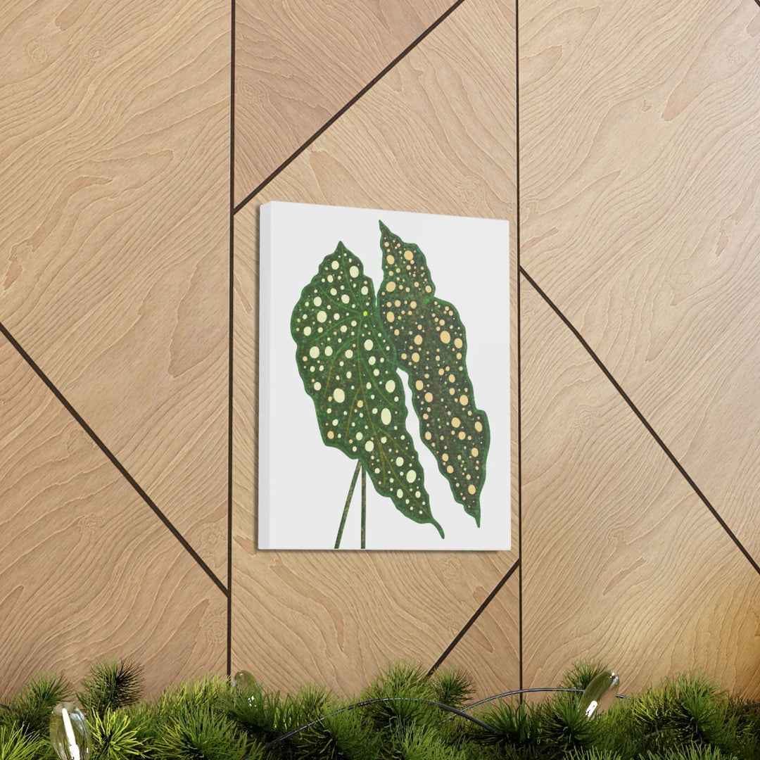 Begonia Maculata Canvas | Premium Canvas Art Print - Matte Finish, Durable Wall Decor - Laura Christine Photography & Design