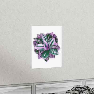 Tradescantia Nanouk Print