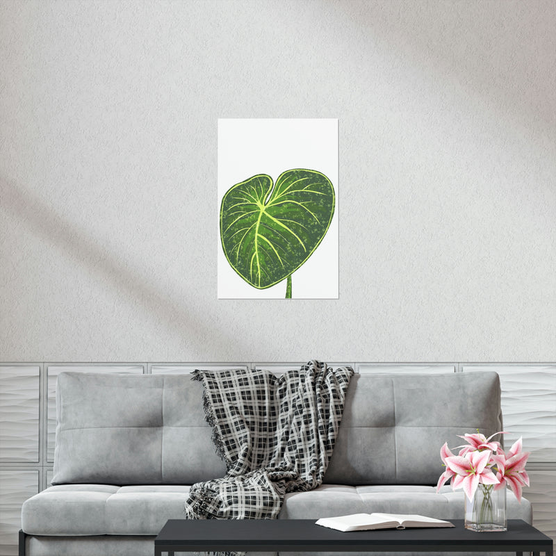 Philodendron Gloriosum Print