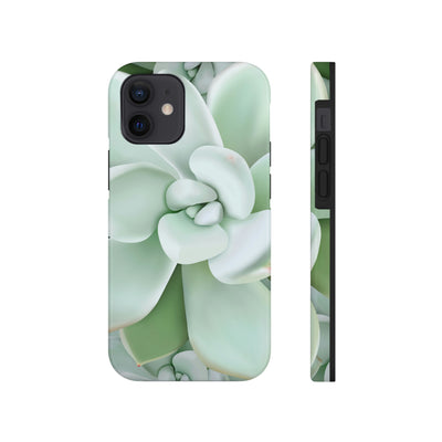 Pachyveria Haagei Succulent Phone Case, Phone Case, Printify, Accessories, Glossy, iPhone Cases, Matte, Phone accessory, Phone Cases, Samsung Cases, Laura Christine Photography & Design, laurachristinedesign.com