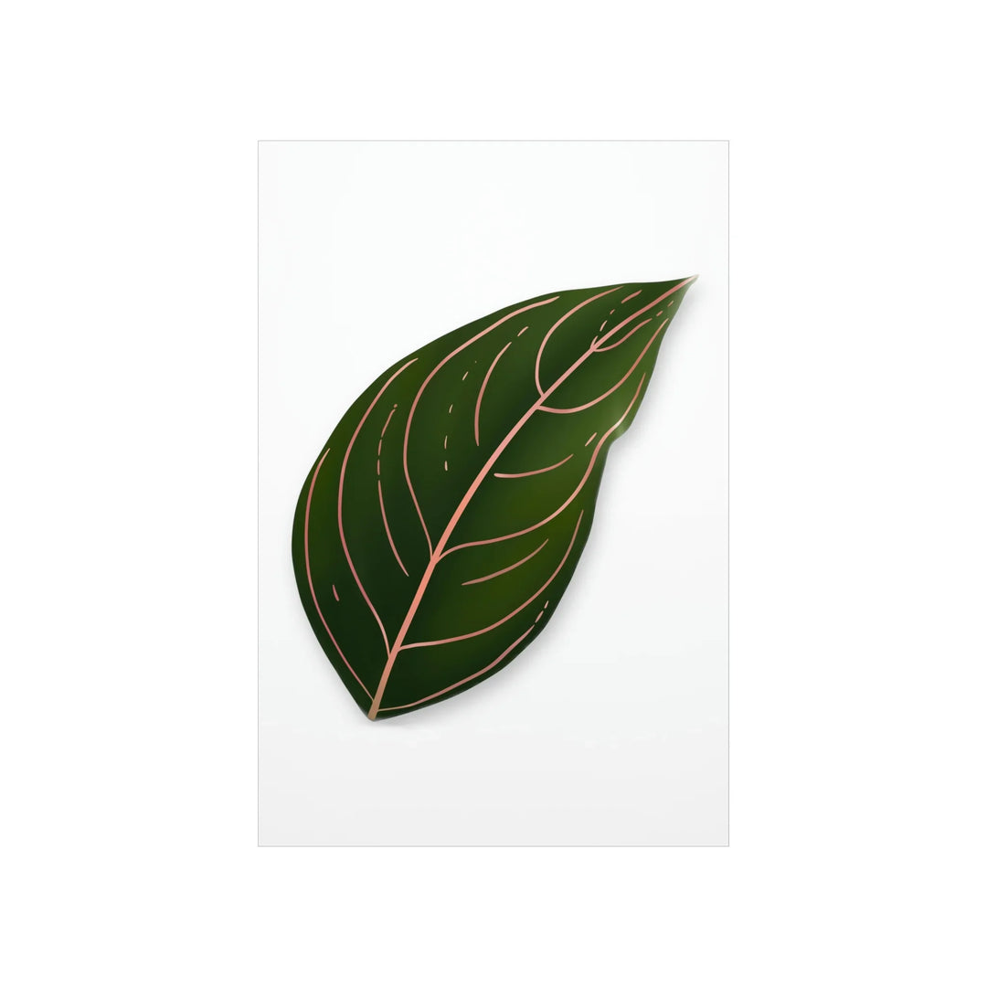 Aglaonema Rotundum Print – Botanical Wall Art on Museum Grade Paper | Unframed